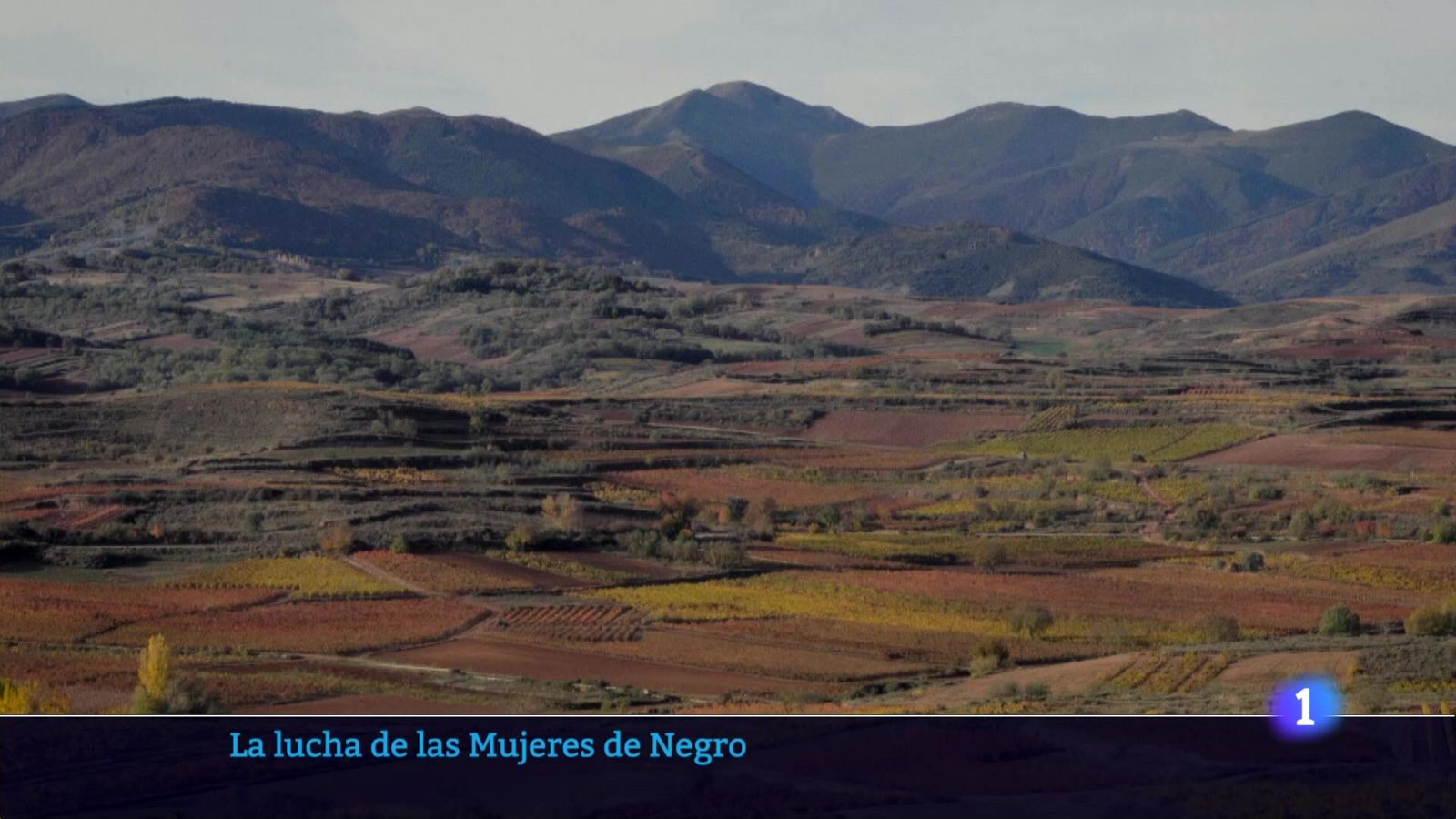 Informativo Telerioja 2 - 16-08-2024 | Ver