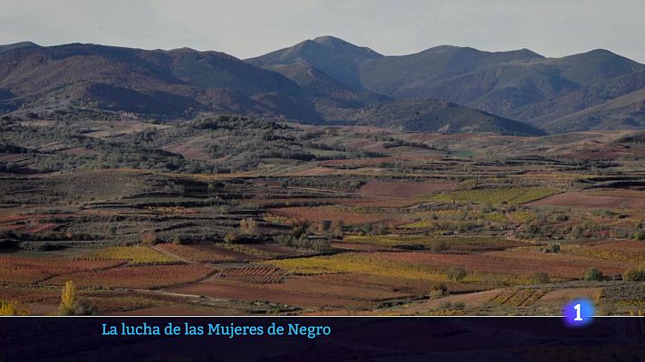 Informativo Telerioja - Informativo Telerioja 2 - 16-08-2024