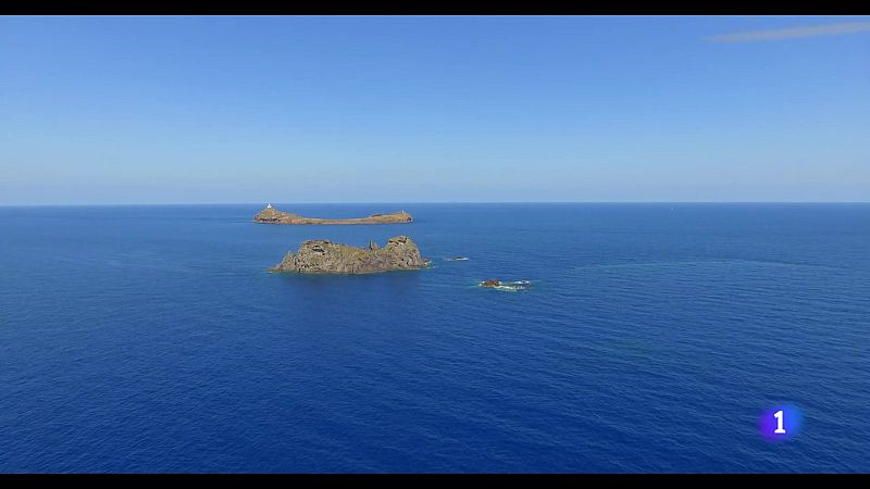 L'Informatiu Comunitat Valenciana 2 - 16/08/24 | Ver