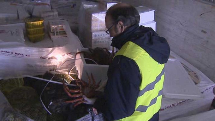 Telediario 1 - Pesca furtiva de marisco