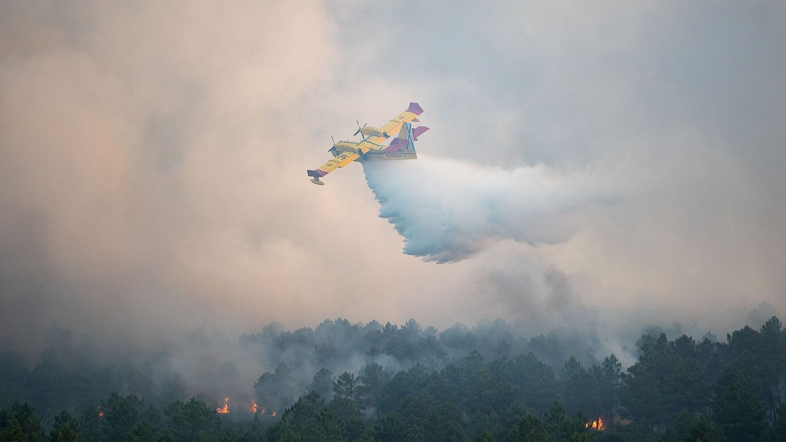 Telediario matinal en cuatro minutos - 18/08/2024 | Ver