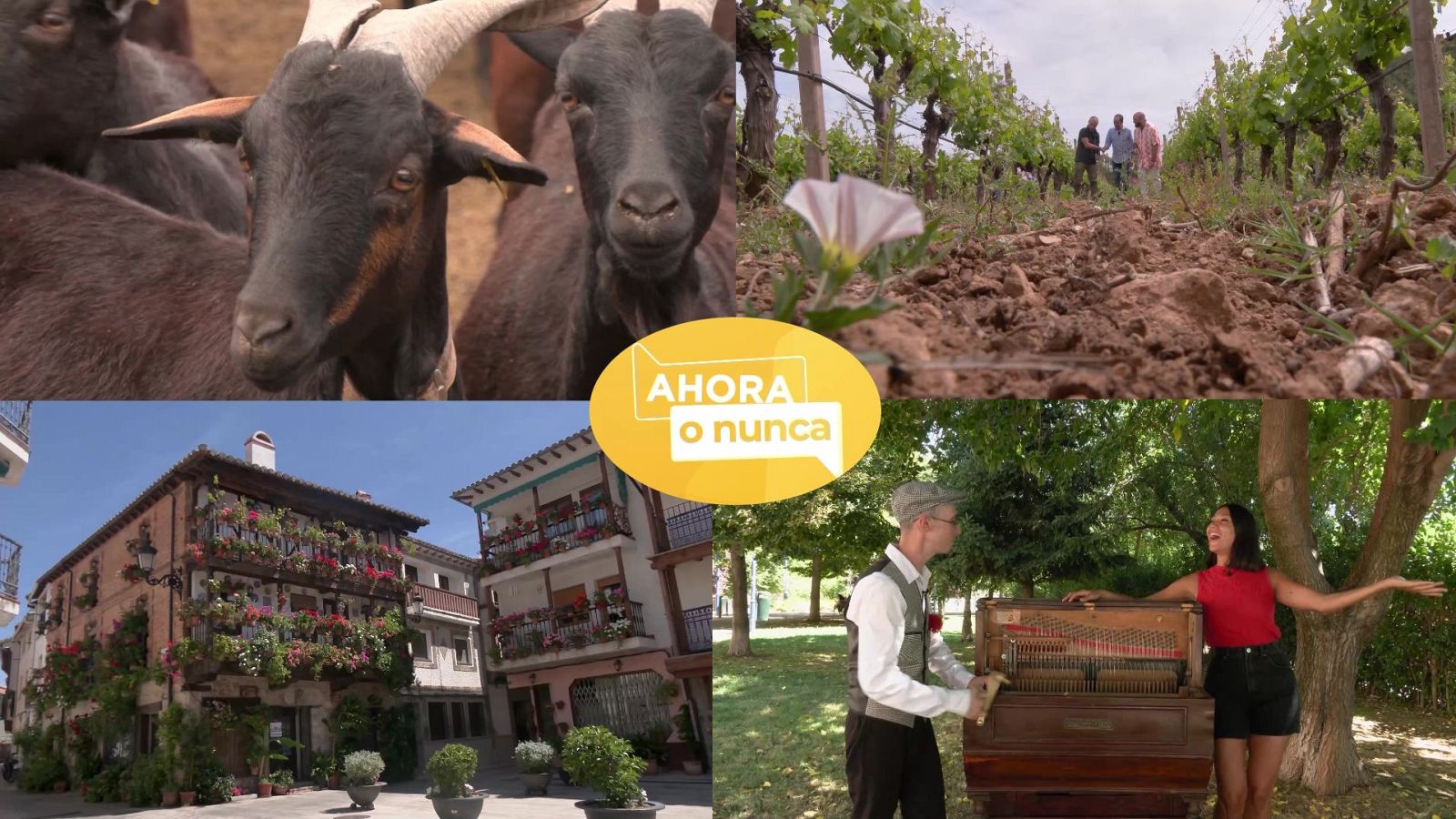 Ahora o nunca - Verano - Programa 25 - ver ahora