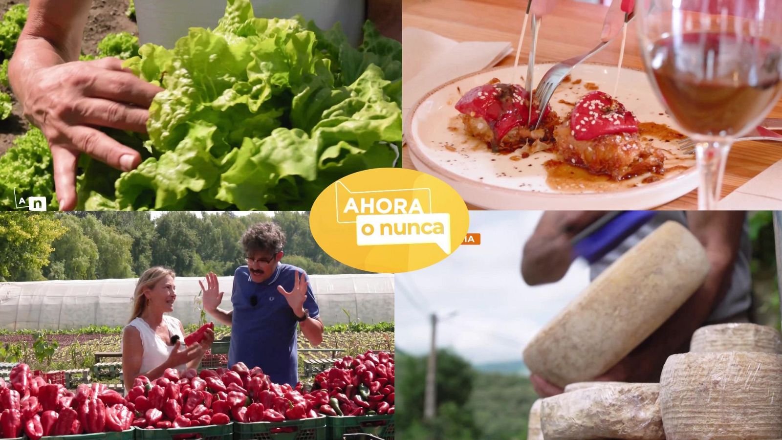 Ahora o nunca - Verano - Programa 26 - ver ahora