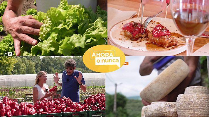 Ahora o nunca - Verano - Programa 26