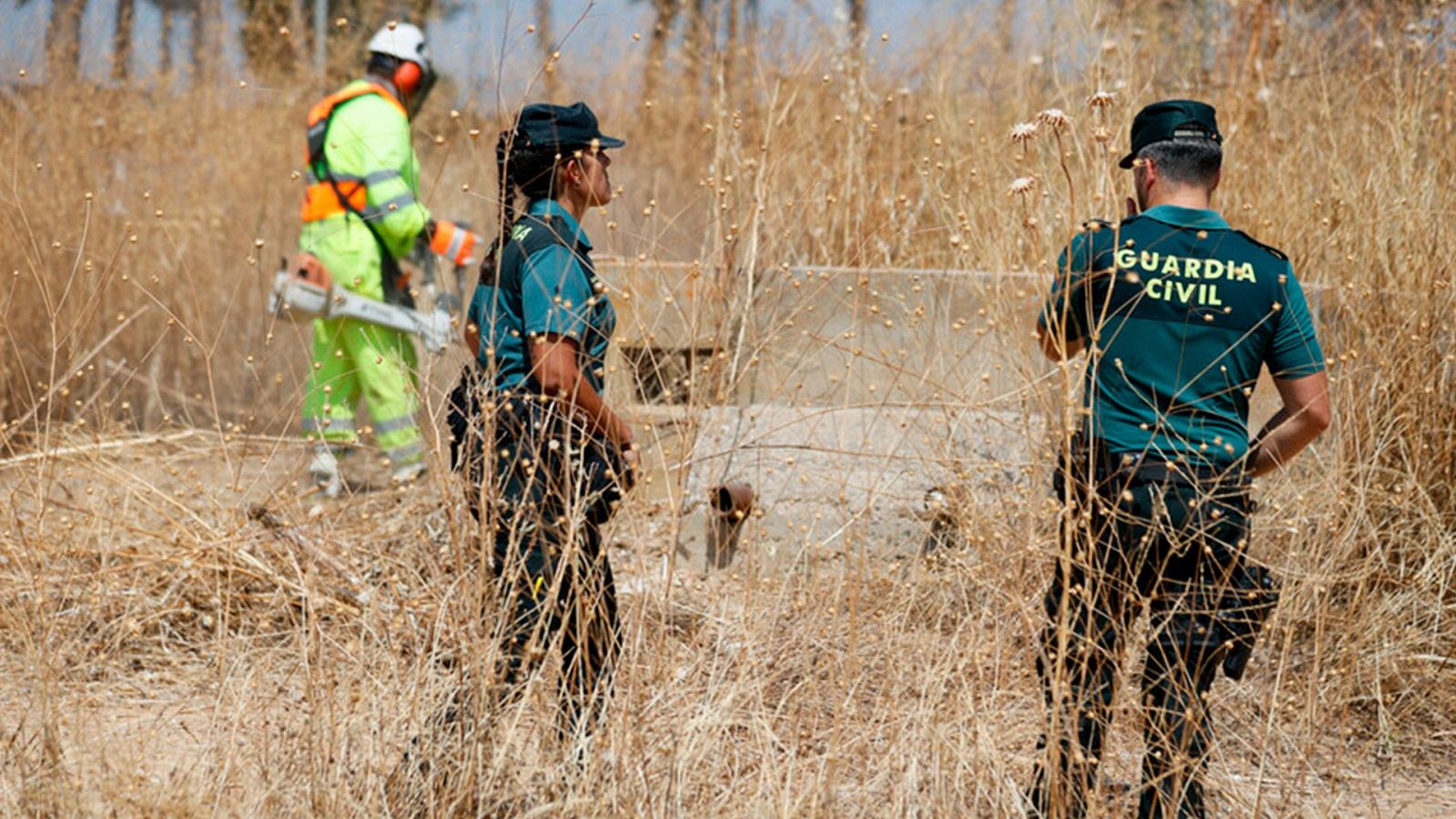 Telediario - 15 horas - 20/08/24 - Lengua de signos - ver ahora