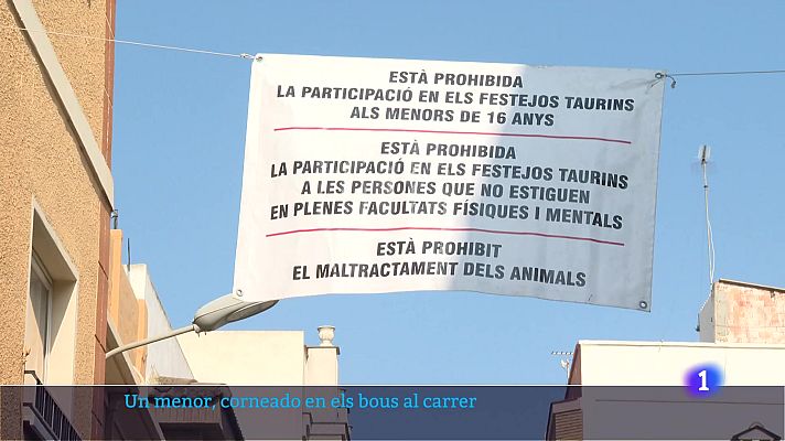 L'informatiu - Comunitat Valenciana - L'Informatiu de la Comunitat Valenciana 2 - 20/08/24