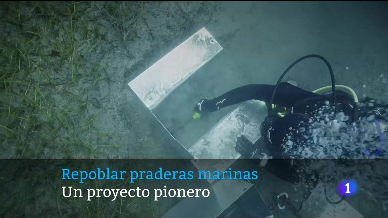 Canarias en 2' - 21/08/2024 | Ver