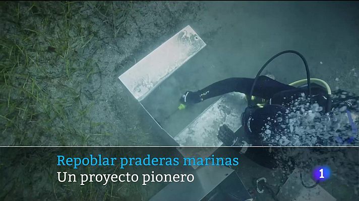 Telecanarias - Canarias en 2' - 21/08/2024