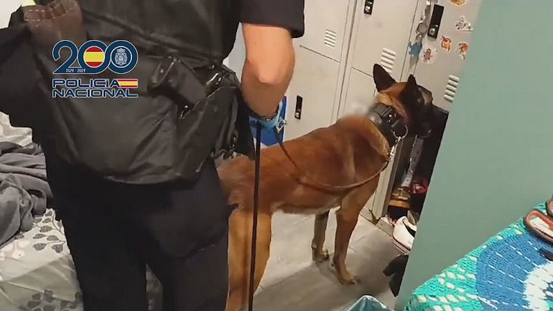 La Policía Nacional libera a seis mujeres explotadas sexualmente - Informativo 24h | Ver