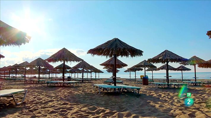 Som Documentals - La platja: la fauna al voltant del para-sol