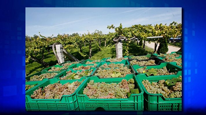 Saber y ganar - Saber y ganar - 23/08/24