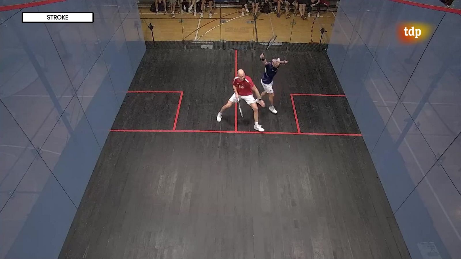 Squash - Campeonato de Europa. 2ª Semifinal Masculina - ver ahora