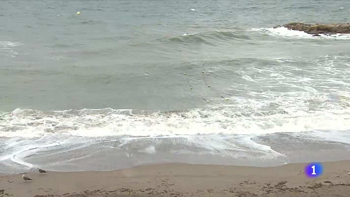 L'Informatiu - La temperatura de l'aigua del mar assoleix valors històrics