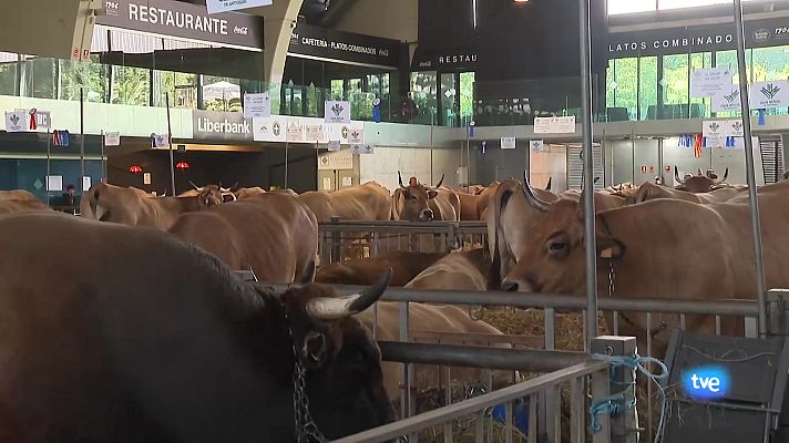 Panorama Regional - Panorama Regional 2 - 26/08/24