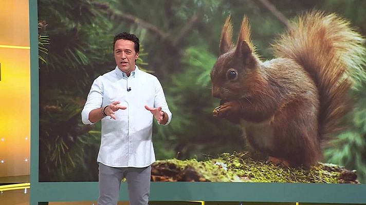 Aquí la Tierra - Aquí la Tierra - 26/08/24