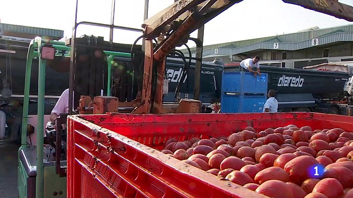 L'informatiu - Comunitat Valenciana - L'Informatiu de la Comunitat Valenciana 1 - 27/08/24