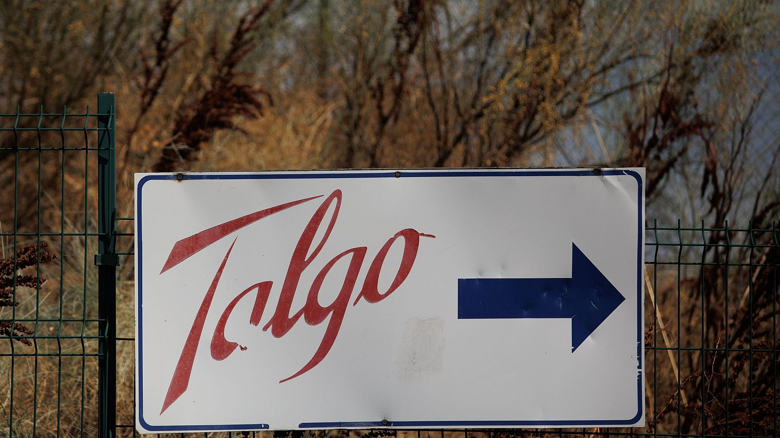 Talgo: Albares recuerda el deber de proteger empresas "estratégicas" - La hora de La 1 | Ver