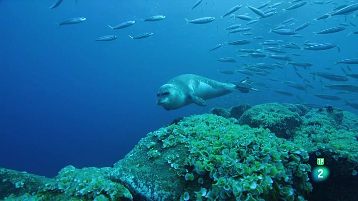 Som Documentals - Portugal, una terra salvatge als confins