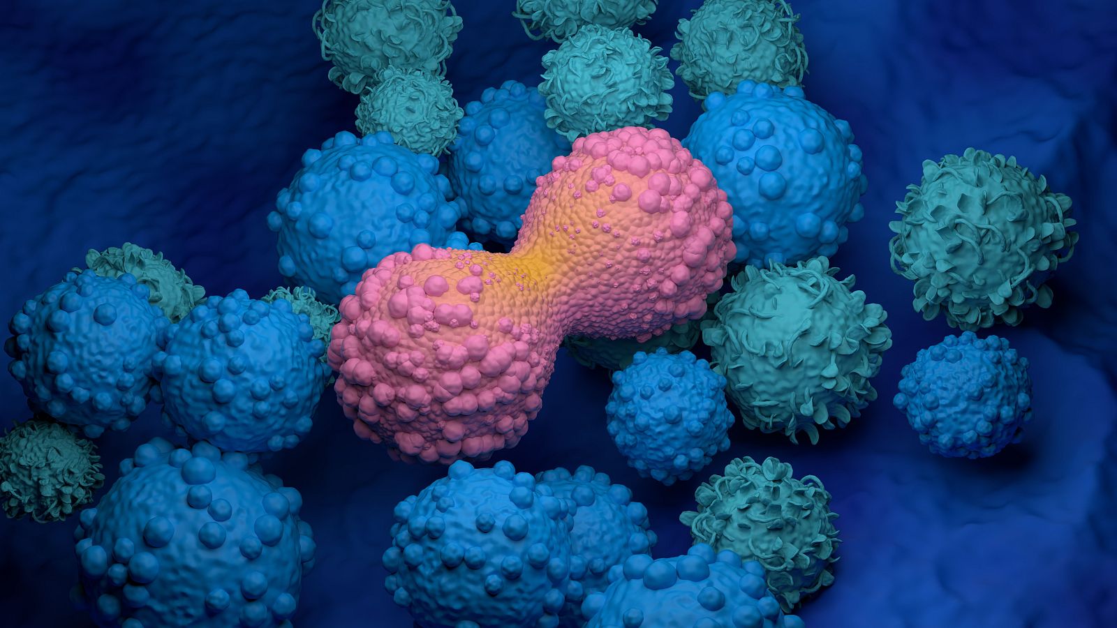 Inteligencia artificial para detectar si una célula es cancerosa - La tarde en 24h | Ver