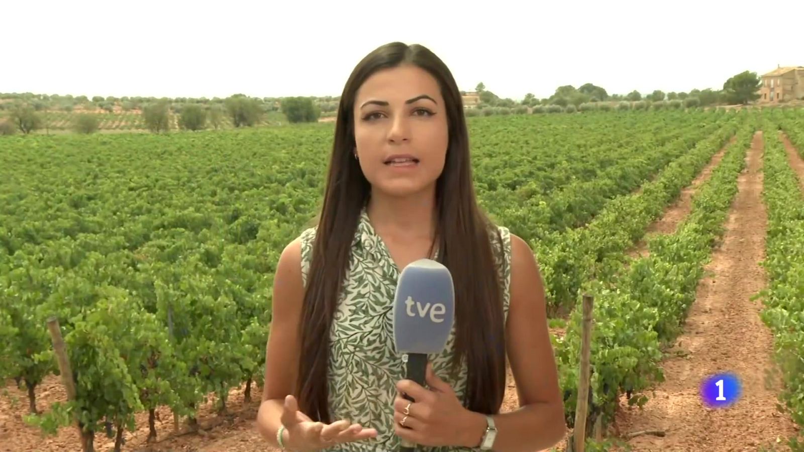 L'Informatiu de la Comunitat Valenciana 2 - 29/08/24 | Ver