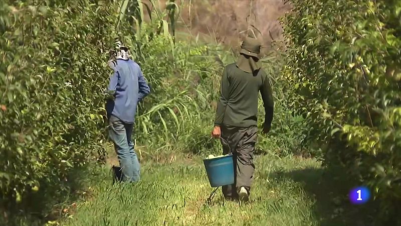 Temporers critiquen la Paeria de Lleida per tancar el pavelló d'acollida - L'Informatiu | Veure