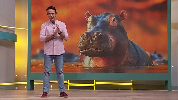 Aquí la Tierra - Aquí la Tierra - 30/08/24