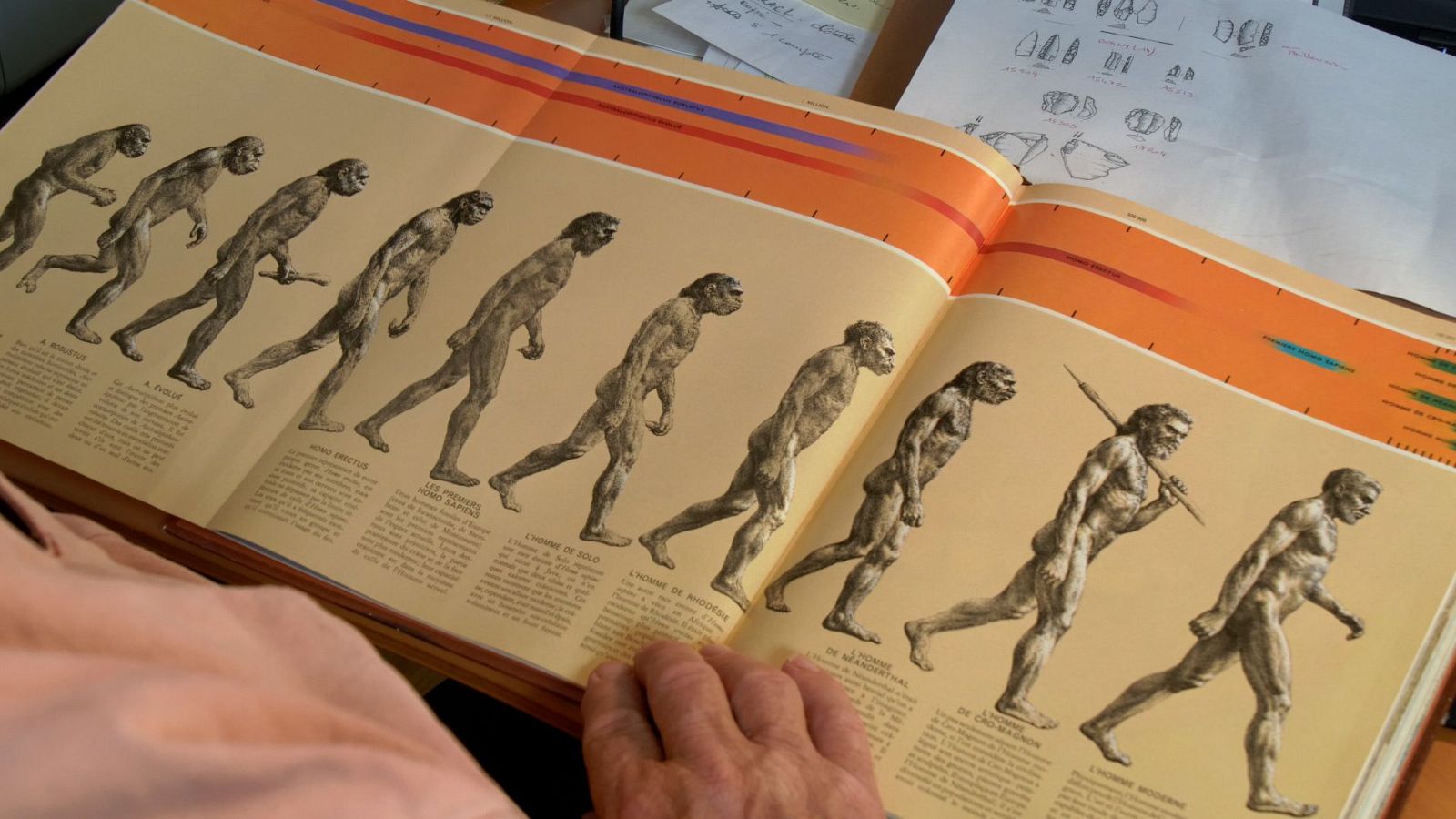 Somos documentales - Neandertal, tras la huella de otra humanidad - ver ahora