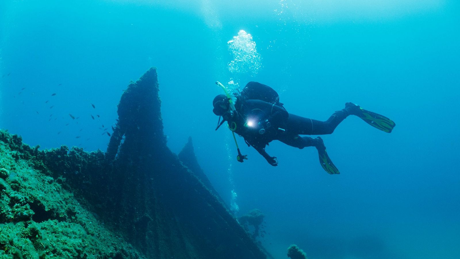 Informe Semanal - 31/08/24 - Lengua de signos - ver ahora