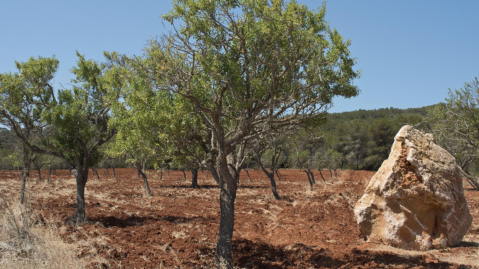 Las reservas de los acuíferos de Ibiza están al 35% | Ver