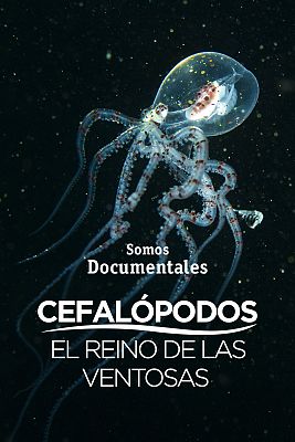 Som Documentals - Cefalòpodes: el regne de les ventoses