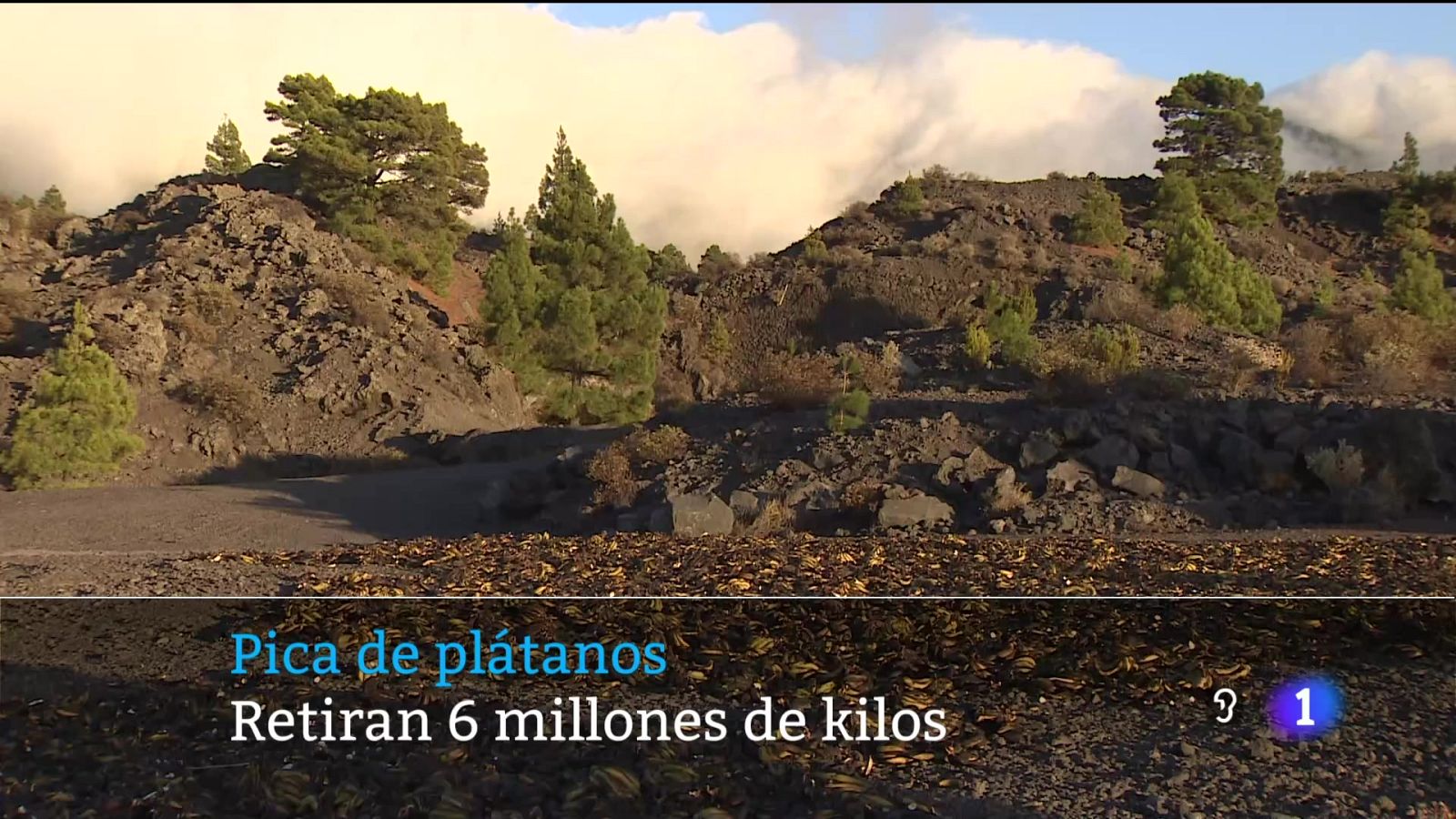 Canarias en 2' - 02/09/2024 | Ver