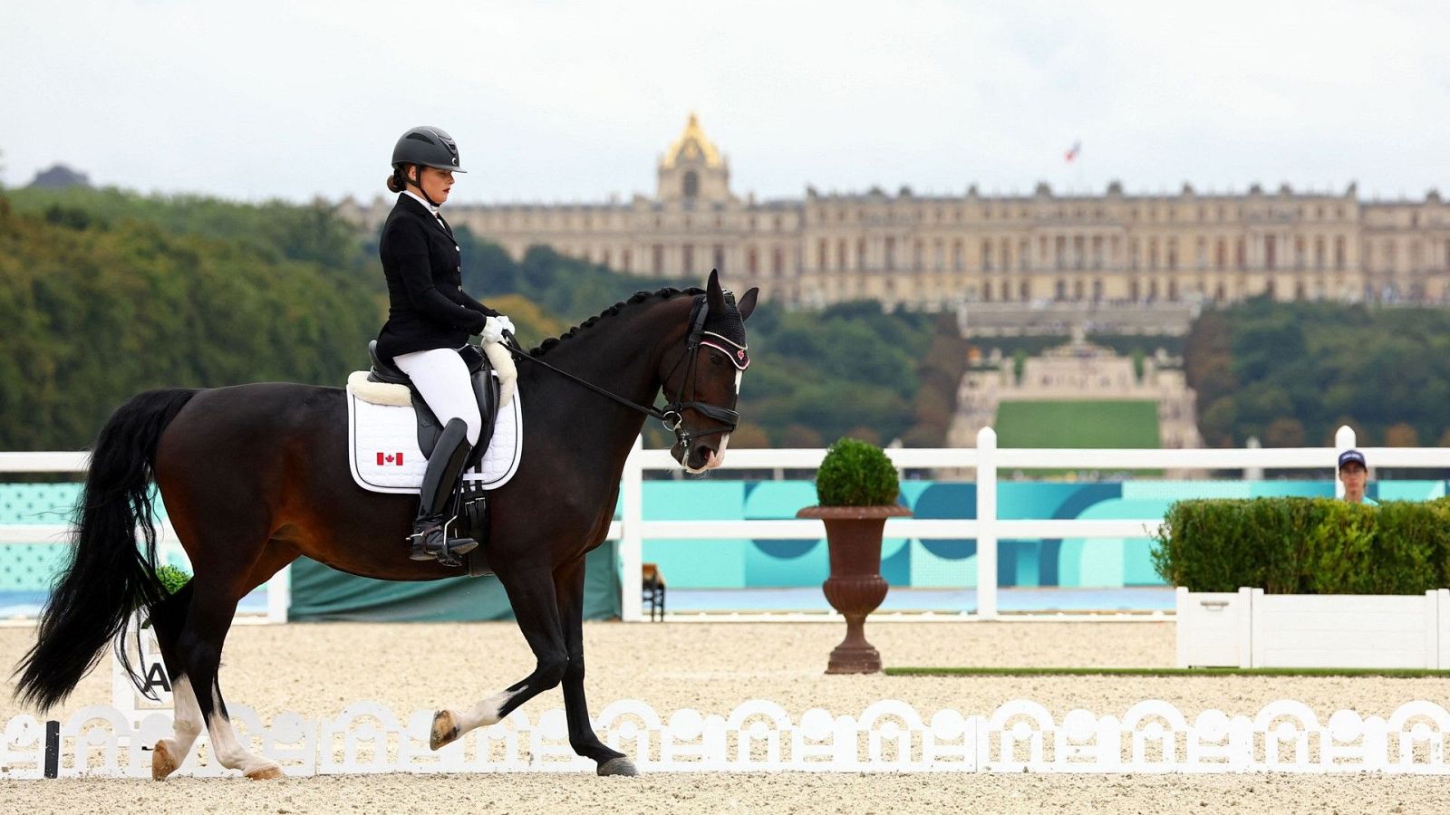Paralímpicos París 2024 - Hípica doma: Categorías 1, 2 y 3. Evento individual. - Ver ahora
