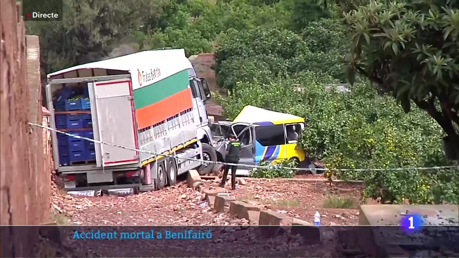 L'Informatiu de la Comunitat Valenciana 1 - 03/09/24 | Ver