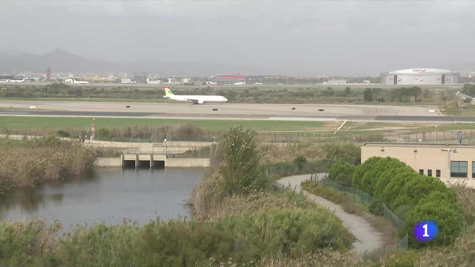 El Govern reactiva la comissió tècnica per ampliar el Prat - L'Informatiu | Ver