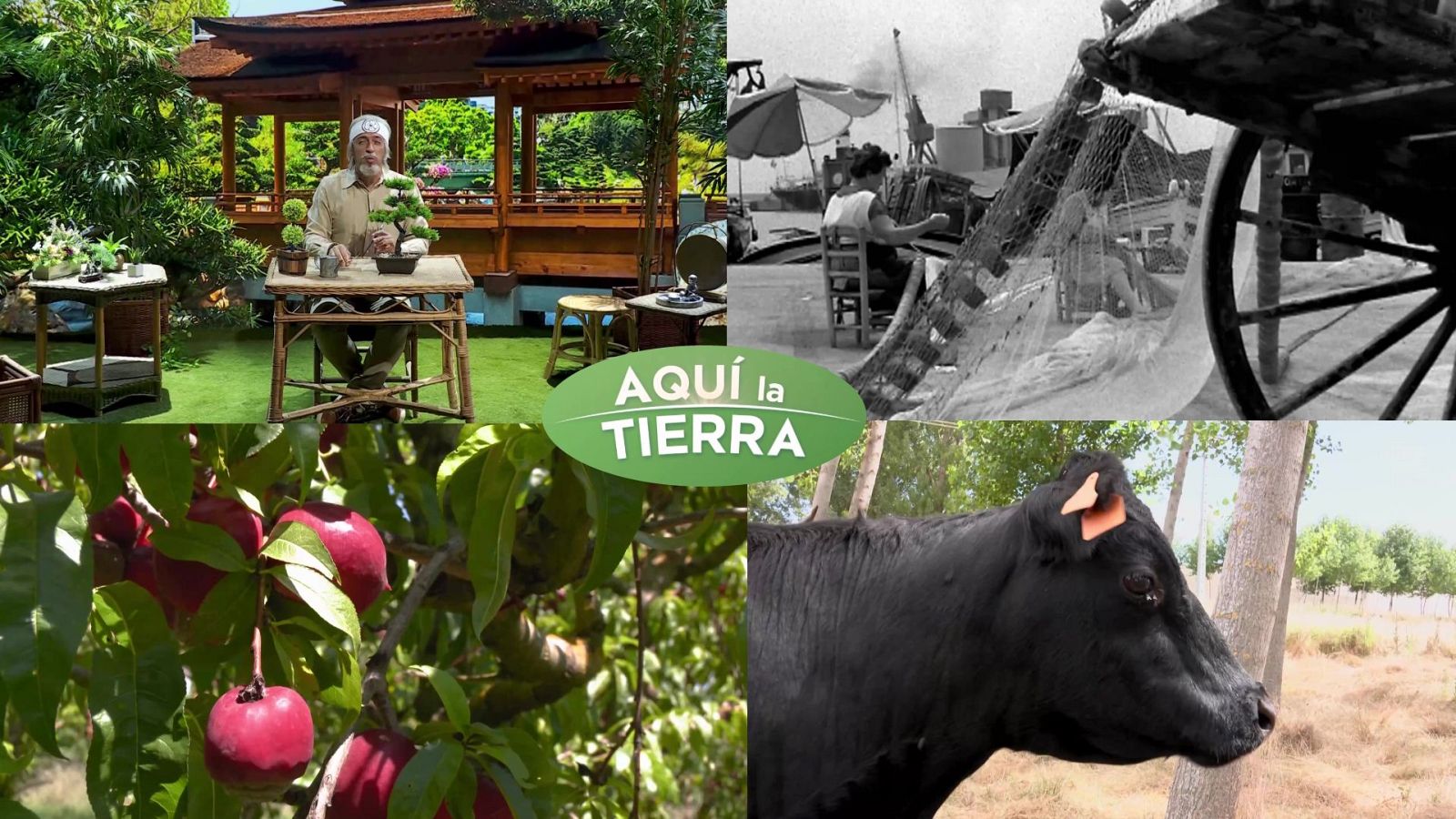 Aquí la Tierra - 04/09/24 - ver ahora