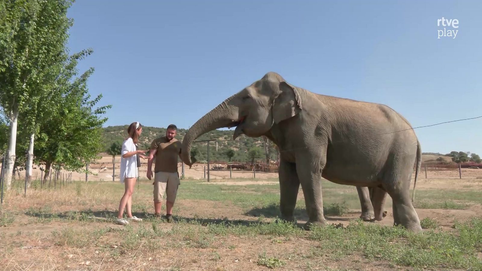Ahora o nunca - Verano - Programa 38 - ver ahora