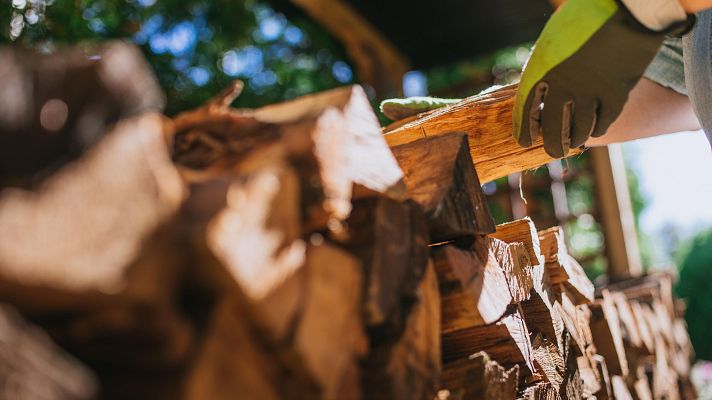 Telediario 1 - Comprar leña en verano: una opción más asequible y de más calidad