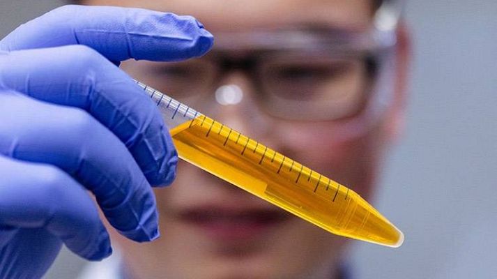  - Logran volver transparentes los tejidos de animales