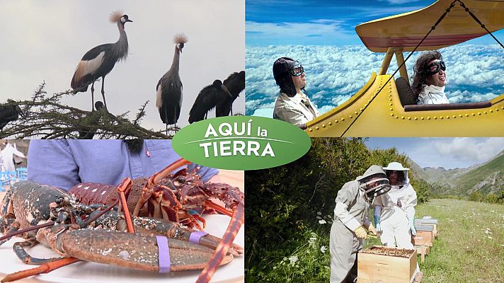 Aquí la Tierra - Aquí la Tierra - 06/09/24