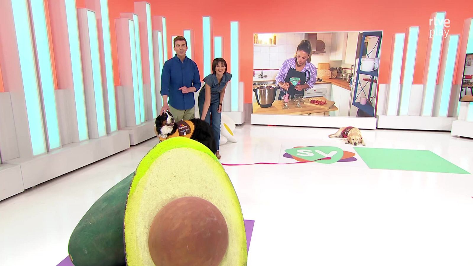 Saber vivir - 08/09/24 - ver ahora