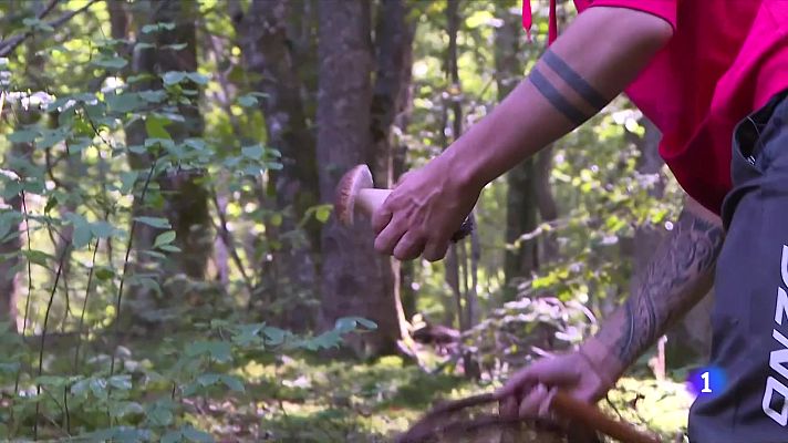 L'Informatiu - Comença la temporada de bolets