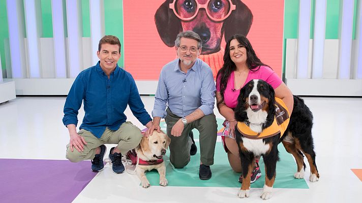 Saber vivir - Animales: poderosas fuentes de salud y bienestar