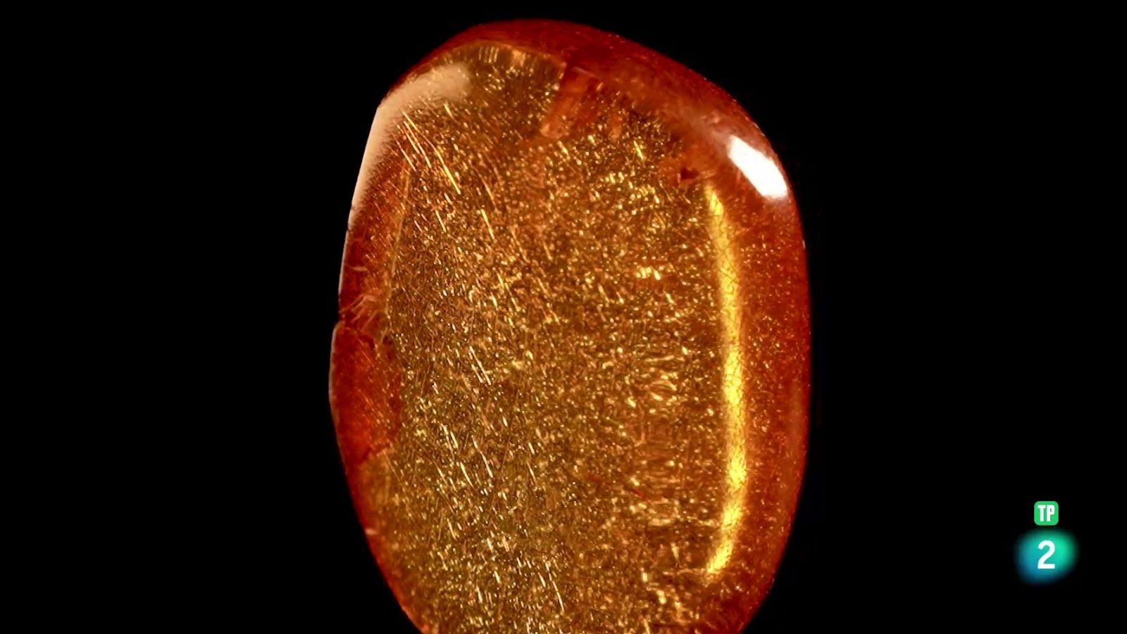 Planeta Ámbar | Ver