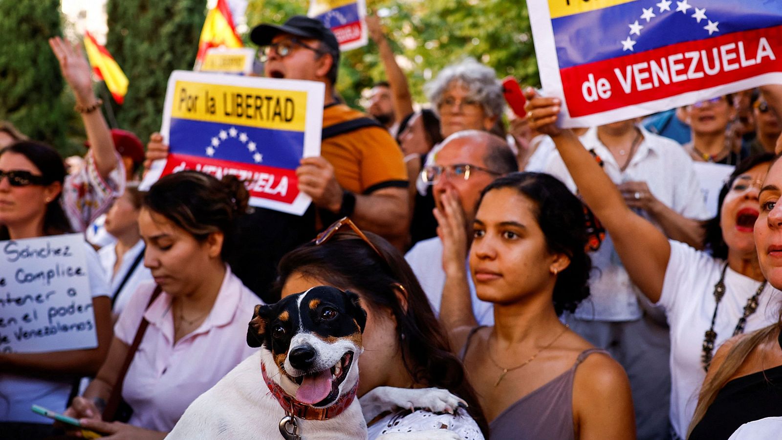 Informativo 24 horas - 14h -  11/09/24 - ver ahora