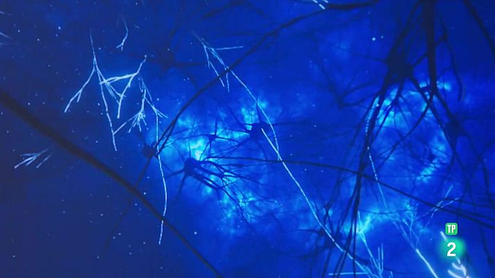 La aventura del Saber - Guía sobre el uso de la inteligencia artificial en las aulas