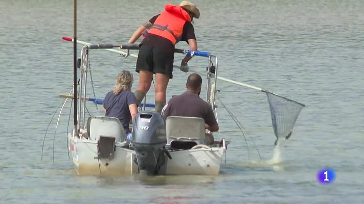 L'informatiu - Comunitat Valenciana - L'Informatiu de la Comunitat Valenciana 1 - 12/09/24
