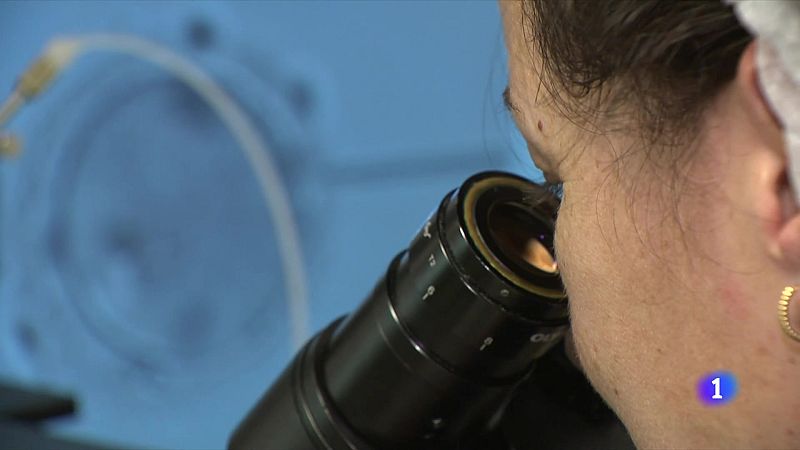 Els bacteris poden viatjar fins a 2.000 km i propagar malalties - L'Informatiu | Veure