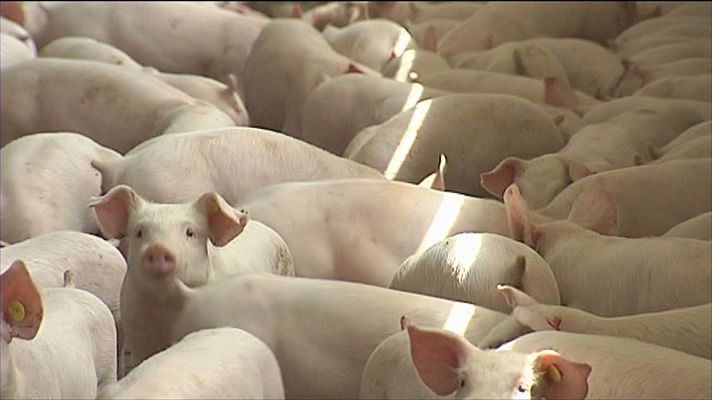 Agrosfera - Agrosfera - 14/09/24