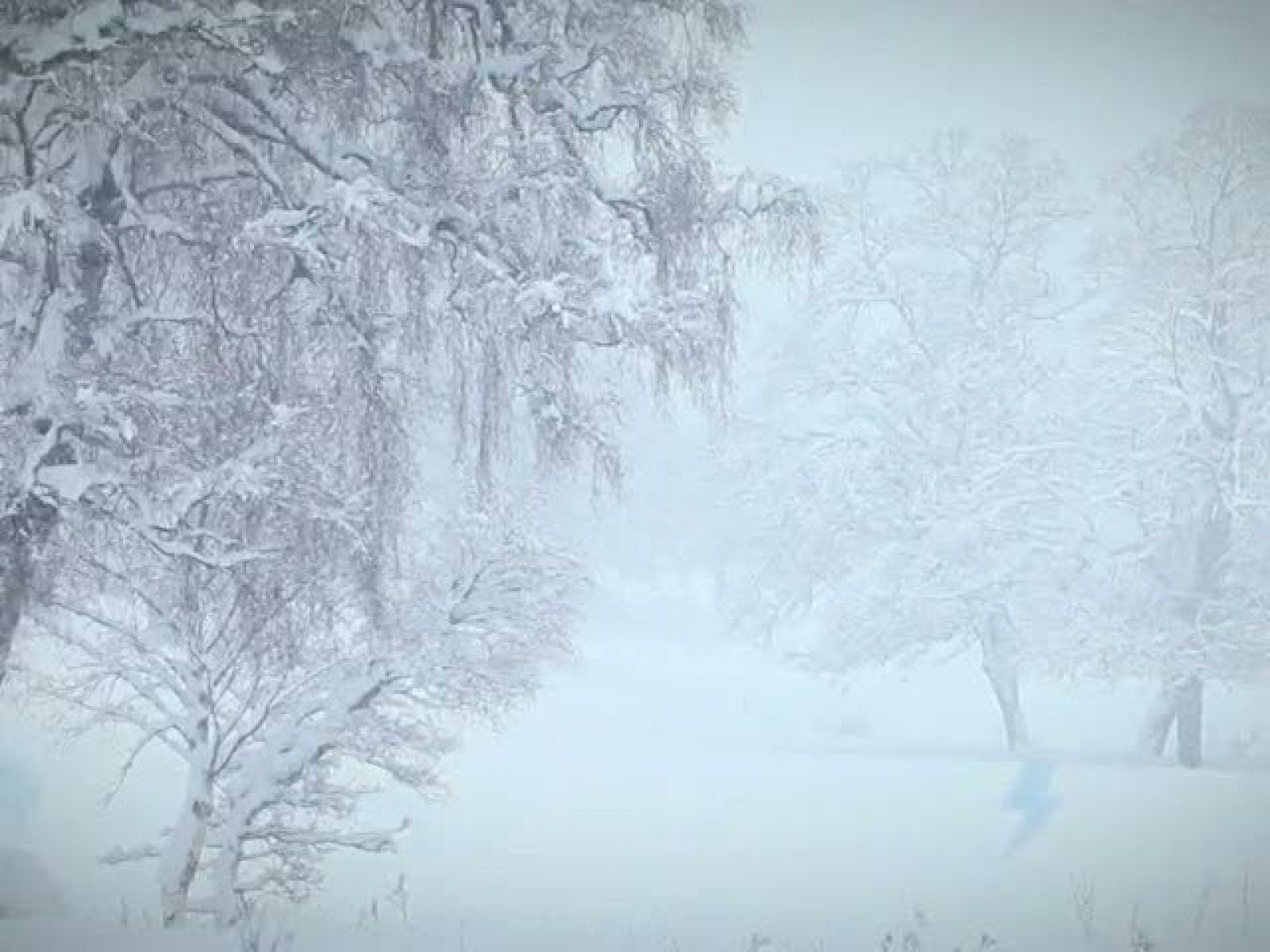 El tiempo en Cantabria - 24/12/12