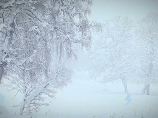 TeleCantabria - El tiempo en Cantabria - 24/12/12